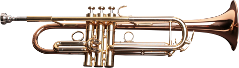 Regular Weight with Clear Lacquer Finish