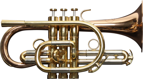 Regular-Weight C Cornet